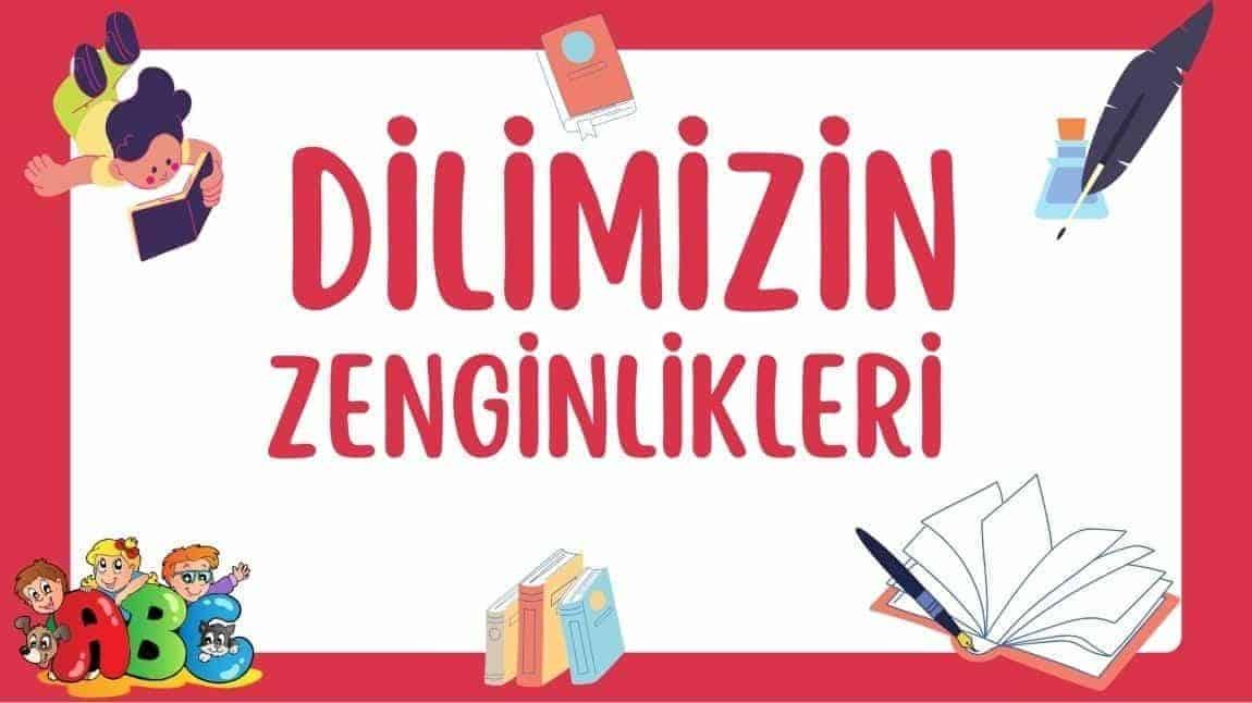 DİLİMİZİN ZENGİNLİKLERİ PROJESİ HAKKINDA